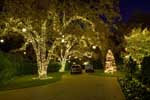 Residential Holiday Lights