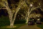Residential Holiday Lights
