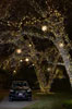 Residential Holiday Lights
