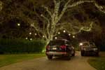 Residential Holiday Lights